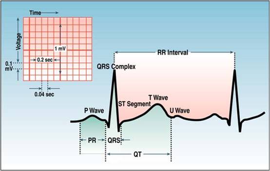 ECG Learning Center - An introduction to clinical electrocardiography